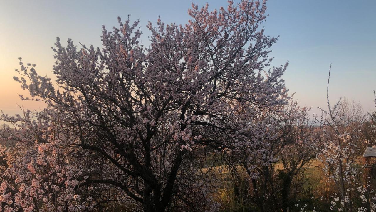 Panorama Balaton Villa Balatongyörök Dış mekan fotoğraf
